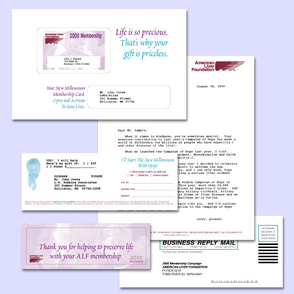 ALFpkg.jpg (33658 bytes)